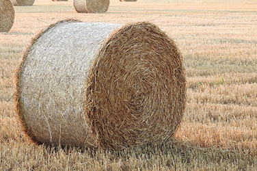 Strohballen